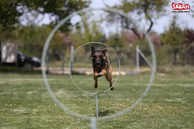 Terörle mücadelenin mayın ve EYP avcıları en özel eğitimden geçiriliyorlar!