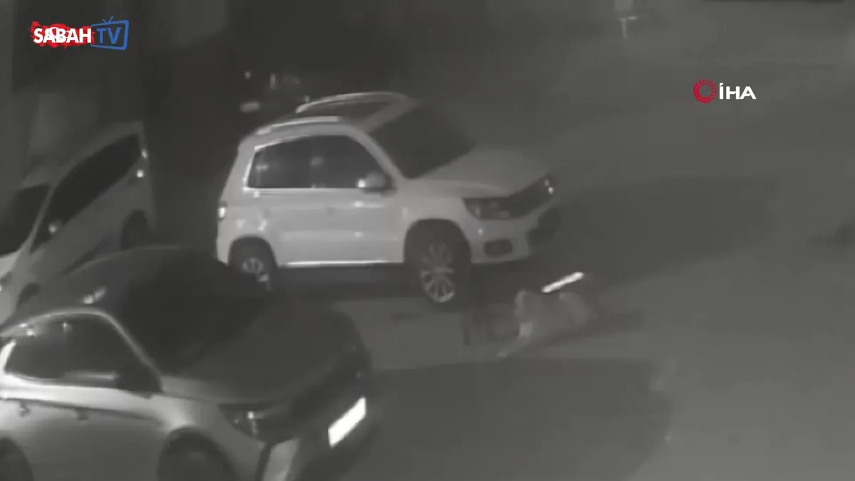 Sokak köpekleri park halindeki aracı böyle parçaladı | Video videosunu izle Sokak köpekleri park halindeki aracı böyle parçaladı | Video videosunu izle