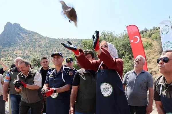 Keklikler Doğaya Salınıyor