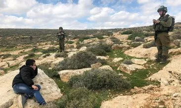 İşgalci İsrail’in Gazze’ye sıktığı böcek ilaçları tarım arazilerini ve Filistin ekonomisini tehdit ediyor