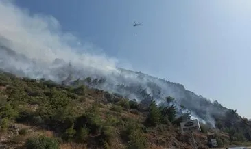 Aydın’da orman yangını! Havadan ve karadan müdahale sürüyor