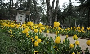 Kepez’de park ve bahçeler laleler ile donatıldı