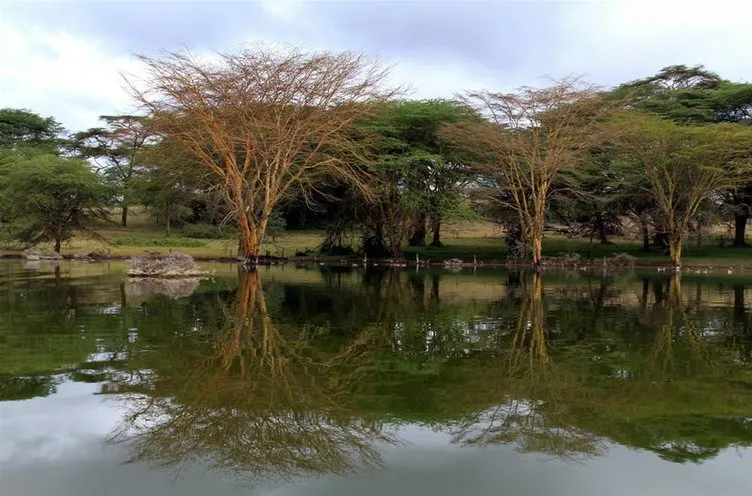Kenya’nın ’büyüleyen gölü’