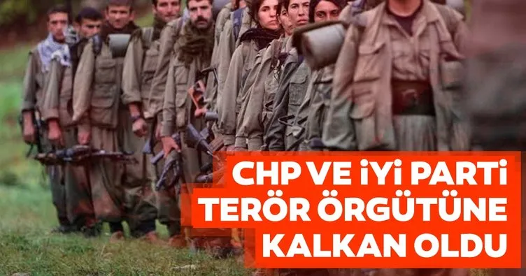 CHP ve İyi Parti terör örgütüne kalkan oldu