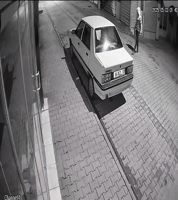 Ateşe Verilen Araçlar