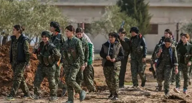 Başkan Erdoğan’ın kararlılığı Batı’yı tedirgin etti: Terör sevici Almanya’dan PKK’ya övgü!