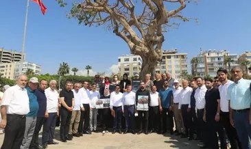 AK Parti ağaç sıkandalı için CHP’li belediyeyi kınadı