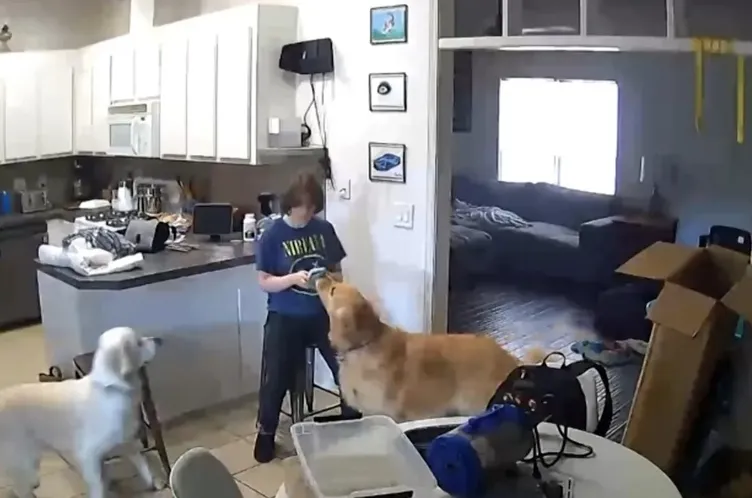 ABD’yi sarsan cinayet: Küçük kız sırrı ortaya çıkmasın diye annesini vahşice öldürdü!