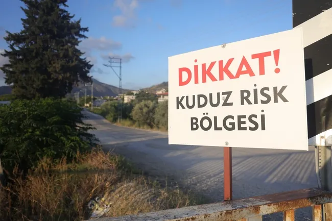 hatayda-4-mahalleye-kuduz-karantinasi-basibos-kopekler-toplaniyor-1748934508563.jpg Hatay'da 4 mahalleye kuduz karantinası: Başıboş köpekler toplanıyor!