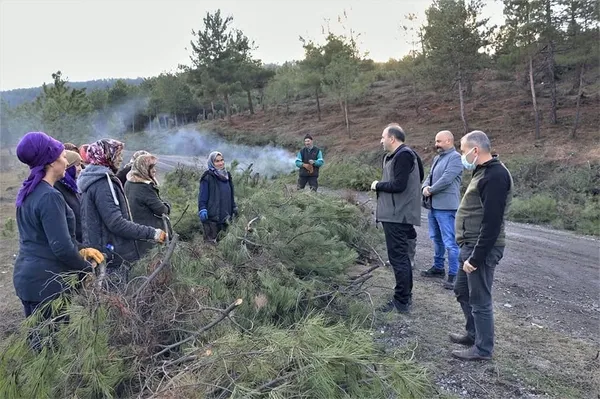 zonguldak-orman-bolge-mudurlugu-2021-yilinda-10-milyar-580-milyon-tl-ciro-sagladi-1645103857837.jpg