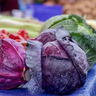 Mor lahananın sağlığa 5 faydası