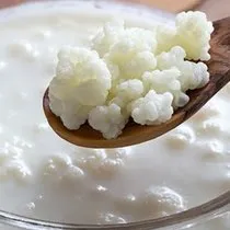 kestane balinin faydalari ve zararlari