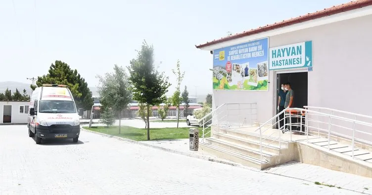 Başkan Erdoğan Konya’yı Örnek Gösterdi