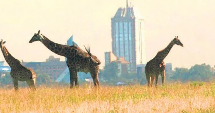 Yaşam alanları işgal altında