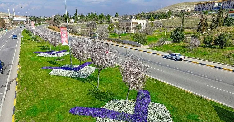 Gaziantep Büyükşehir Belediyesi 4 milyon mevsimlik çiçek dikti