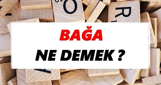 Bağa Ne Demek? TDK’ya Göre Bağa Sözlük Anlamı Nedir?