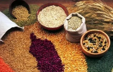 Tam tahıllı beslenmenin önemi!
