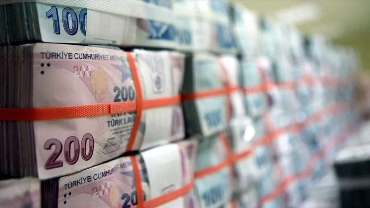 TL cinsi mevduat yüzde 1,6 arttı