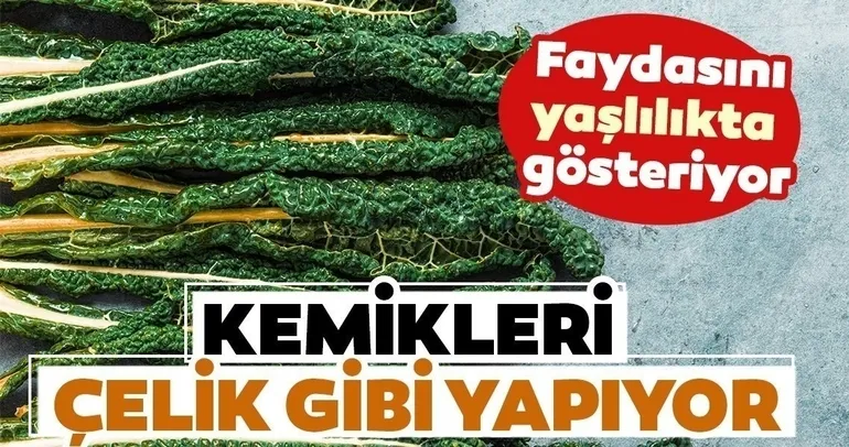 Etkisi kanıtlandı! Kemikleri çelik gibi yapan mucize gıdalar