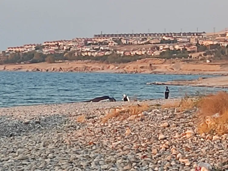 SON DAKİKA: Rojin Kabaiş'in ölümünde ilk bilgiler: Elbise ve darp detayı! Cesedi uzun süre...