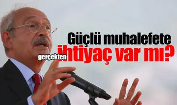 Güçlü muhalefete gerçekten ihtiyaç var mı?