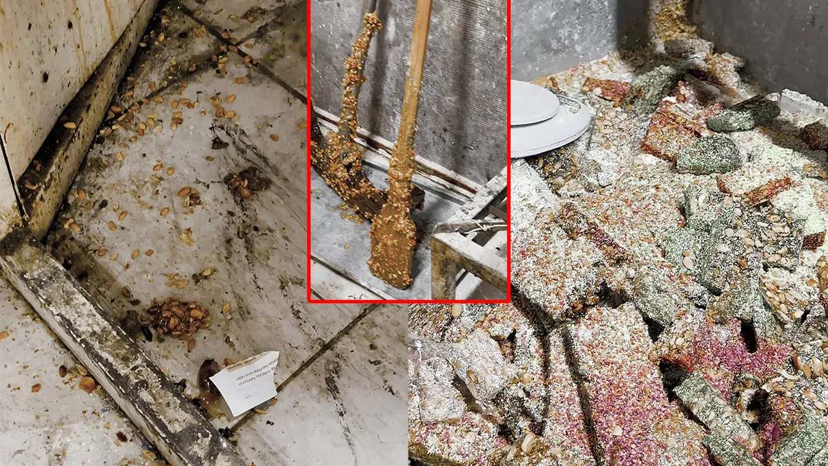 SON DAKİKA… Hatay’da kötü koku ekipleri alarma geçirdi! Kaçak imalathanede mide bulandıran manzara… SON DAKİKA… Hatay’da kötü koku ekipleri alarma geçirdi! Kaçak imalathanede mide bulandıran manzara…