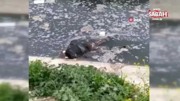 Mersin'de su kanalında erkek cesedi bulundu | Video