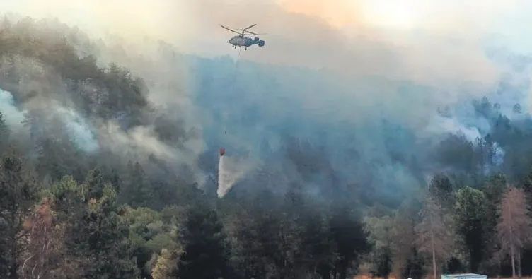 Bolu’da orman yangını