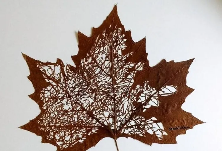 Sanat eserine dönüştürülen kuru yapraklar