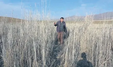 Gölet tamamen kurudu