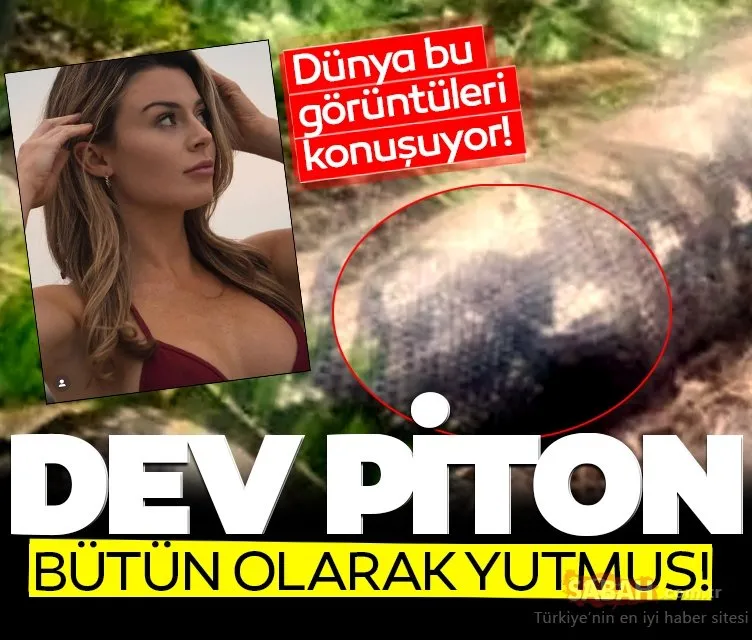 Piton bütün olarak yutmuş… Dünya bu korkunç görüntüleri konuşuyor!