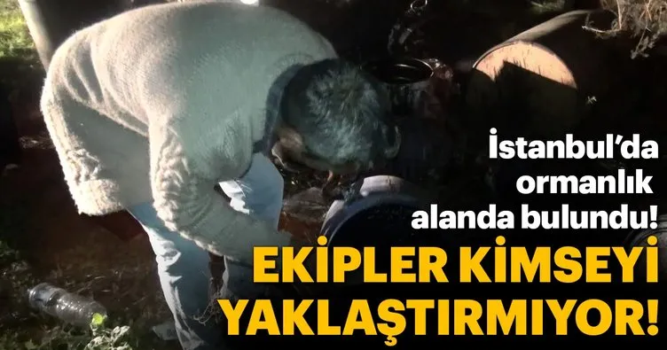 Sultangazi’de ormana bırakılan variller endişe yarattı