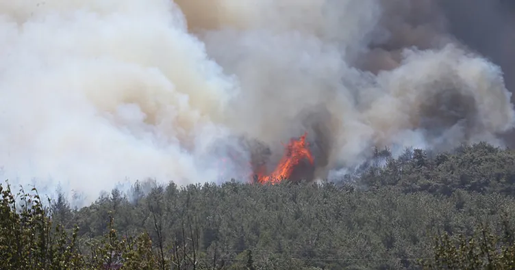 SON DAKİKA! Çanakkale’de orman yangını! Vatandaşlara Sokağa çıkmayın uyarısı: Çanakkale Havalimanı uçuşlara kapatıldı