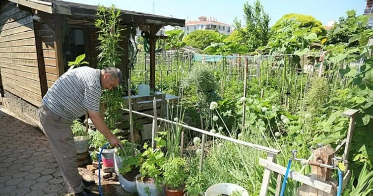 Hobi Bahçelerinin yeni dönem sahipleri belirlenecek