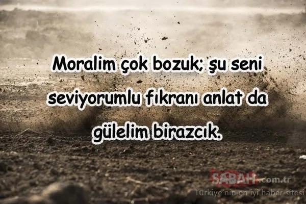 canli yayinda cinsel iliskiye girdi rex kokoreç