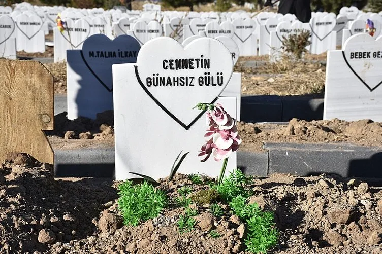 Sivas’ta parçalanmış bebeğin sırrı çözüldü: Aslında mezardan çıkaran…