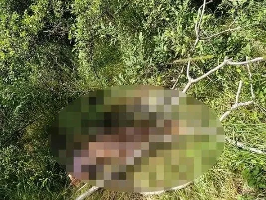 İstanbul metro yakınlarında çıplak kadın cesedi: Kimliği belli oldu!