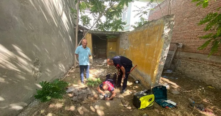 Amasya’da yavru köpek kurtarma operasyonu