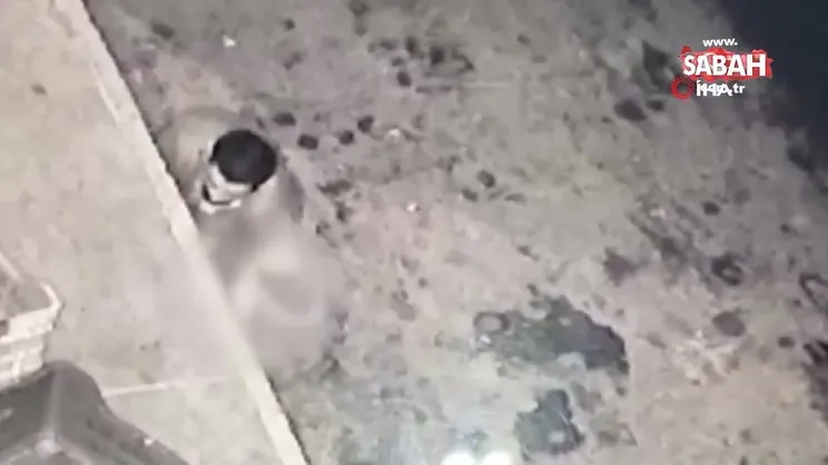 Son dakika: Halde mide bulandıran görüntüler! Derhal sınır dışı edildi... | Video