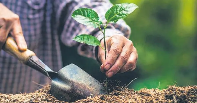 Sıradan insanın zor hayatı