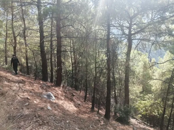 likya-yolunda-kaybolan-cinli-turist-olu-olarak-bulundu-1757165297739.jpg