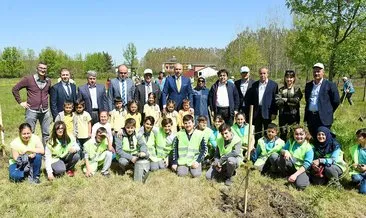 Tekkekoy Yesille Butunlesti Karadeniz Dogu Anadolu Haberleri