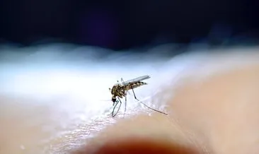 Uzmanından sivrisinek ısırıkları ile ilgili tavsiyeler