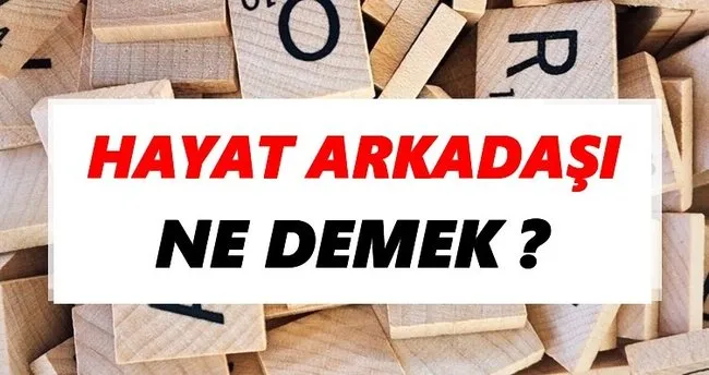 Hayat arkadaşı Ne Demek? TDK’ya Göre Hayat arkadaşı Sözlük Anlamı Nedir?
