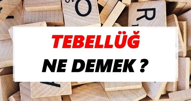 Tebellüğ Ne Demek? TDK’ya Göre Tebellüğ Sözlük Anlamı Nedir?