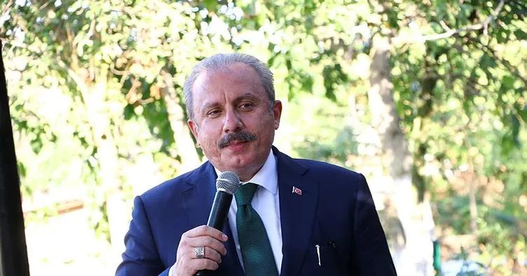 Başkan Erdoğan'ın Fransız mallarını boykot çağrısına TBMM Başkanı Şentop'tan destek