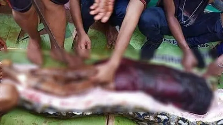 Dünyayı şoke eden görüntüler! Yaşlı kadın pitonun midesinden çıktı: İşte o görüntüler