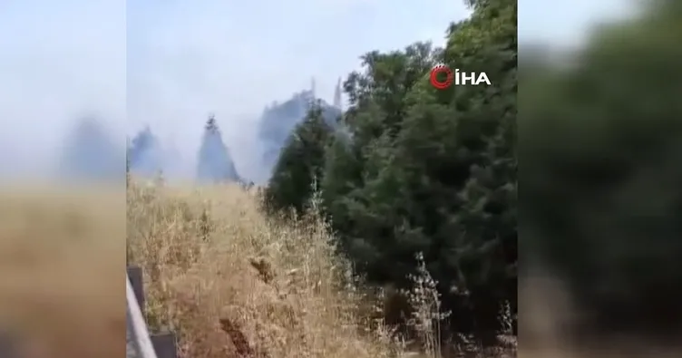 İzmir-Bursa karayolun üzerindeki alevler korkuttu