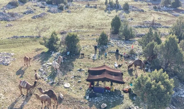 toroslara-goc-basladi-sarikecili-yorukler-gelenegi-yasatiyor-1777470933009.jpg