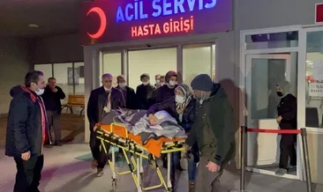 Erzincan’da korkunç olay! Sokak köpekleri yine saldırdı... 8 yaşındaki çocuğun kafatası parçalandı